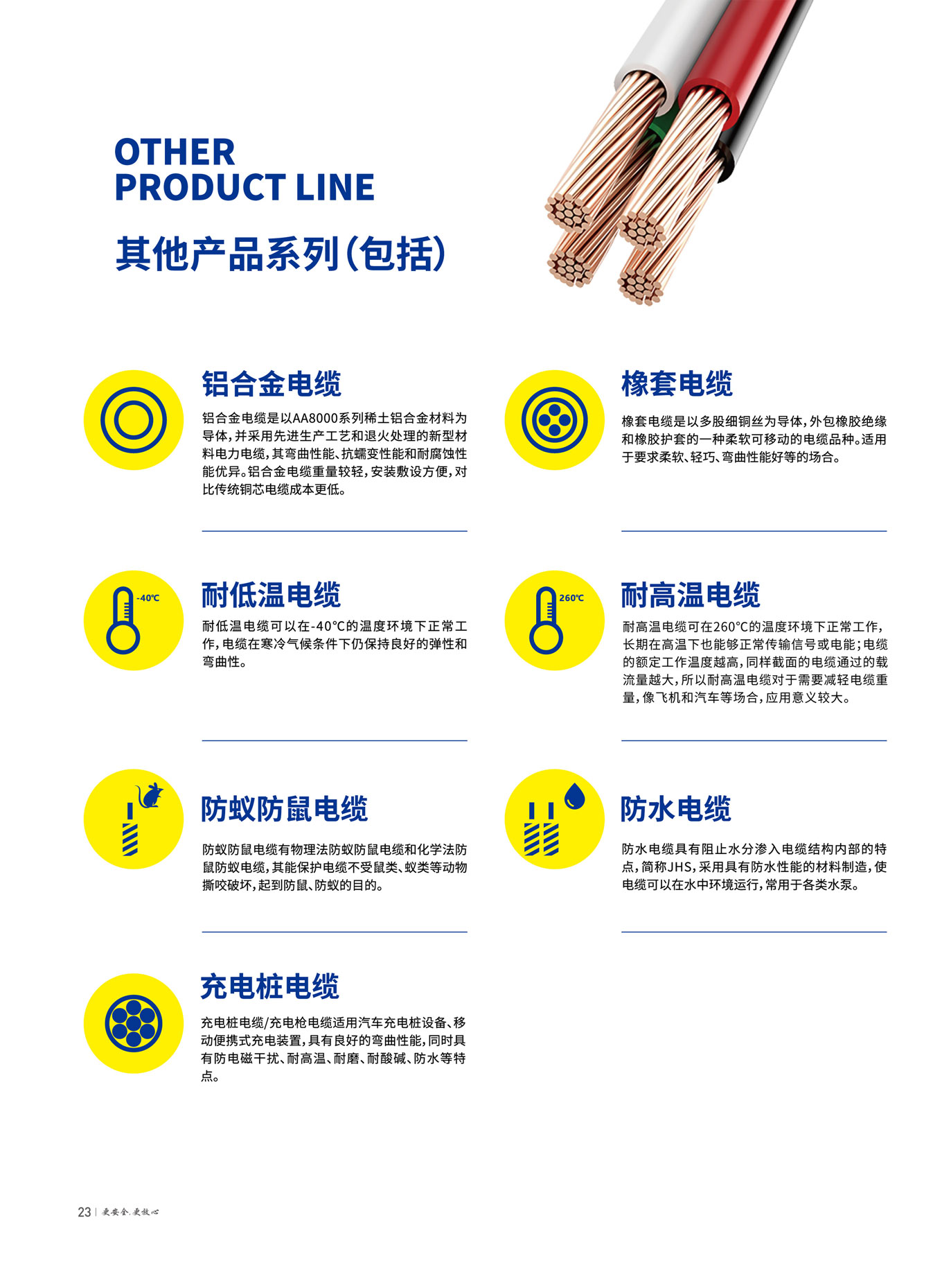 尊龙体育(中国区)官方网站