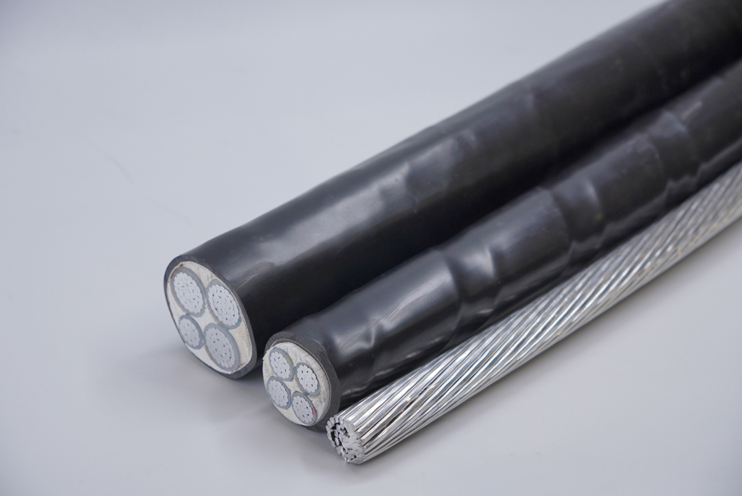 尊龙体育(中国区)官方网站