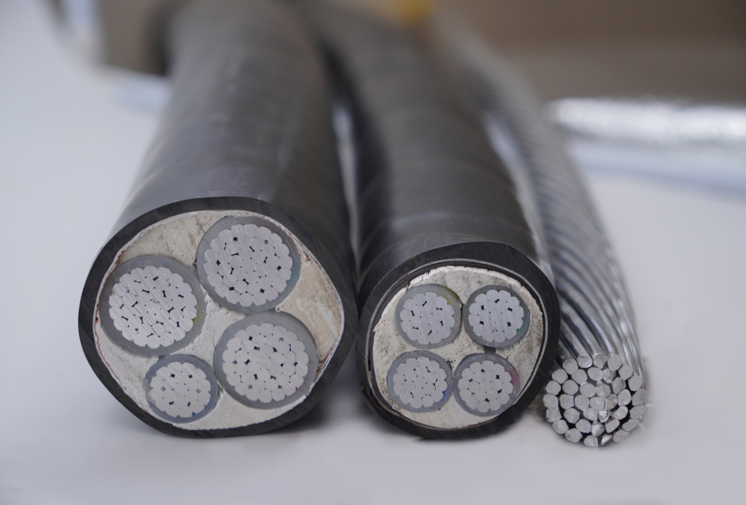 尊龙体育(中国区)官方网站