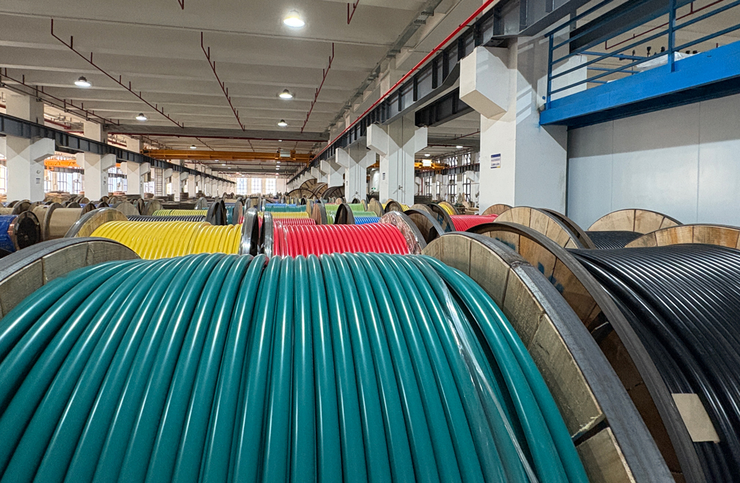 尊龙体育(中国区)官方网站