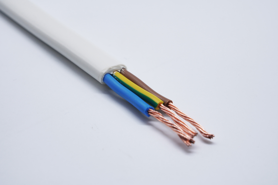 尊龙体育(中国区)官方网站