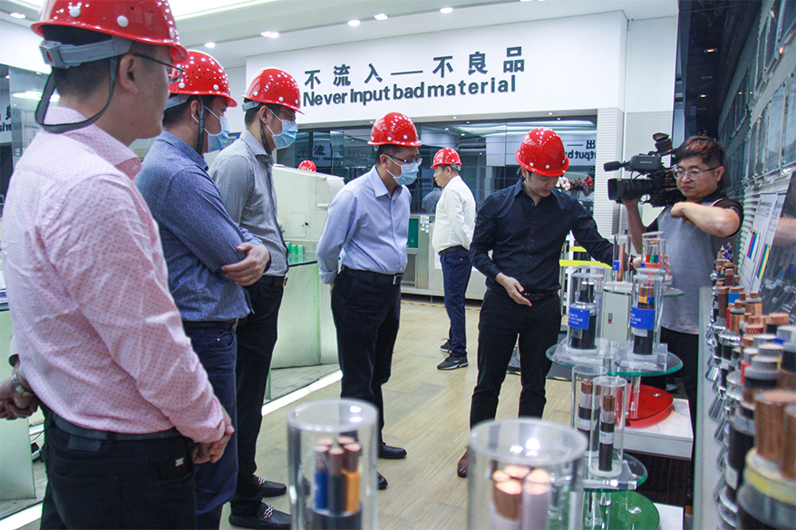 尊龙体育(中国区)官方网站