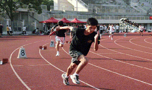 尊龙体育(中国区)官方网站