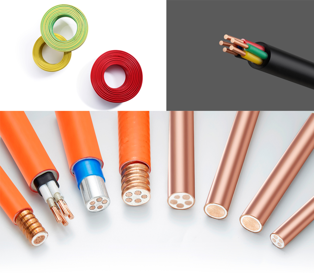 尊龙体育(中国区)官方网站