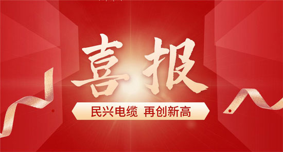 东莞尊龙体育电缆入选广东省首席质量官质量厘革立异典范案例